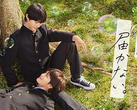 生活大爆炸第7季24